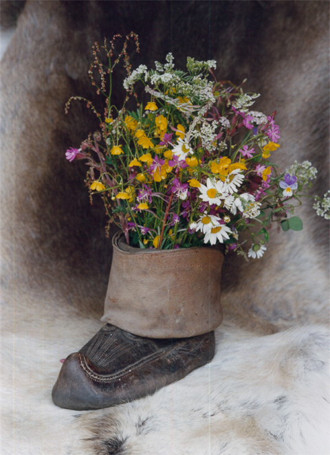 Gammal näbbsko med blommor planterade i den.