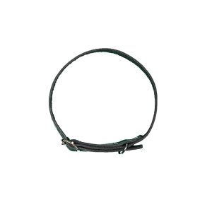 Hundhalsband