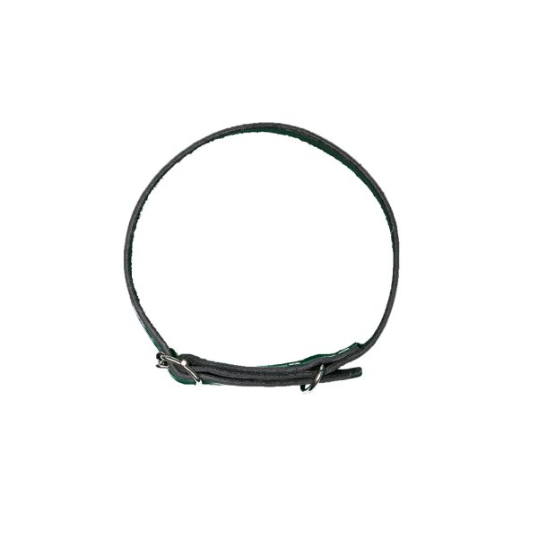 Hundhalsband