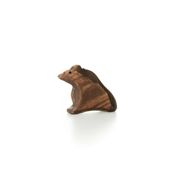 Brunbjörn